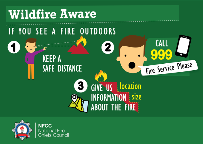 NFCC Wildfire Aware What to do if you see a fire outdoors