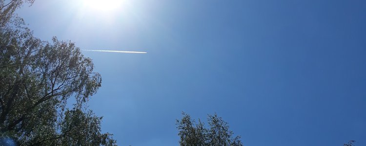 sunny day.jpg